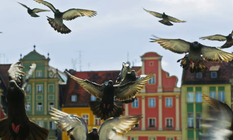 Reynek square, Wroclaw, Poland