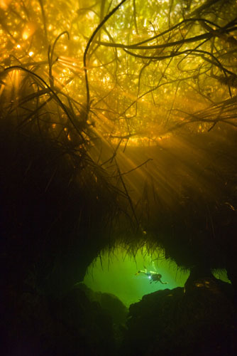 Yucatan RAVE: Rapid Assessment Visual Expedition in Yucatan, Mexico