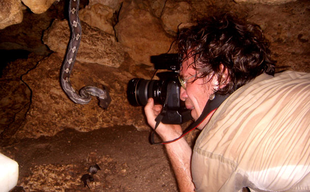 Yucatan RAVE: Rapid Assessment Visual Expedition in Yucatan, Mexico