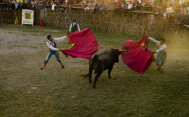 Yucatan RAVE: Rapid Assessment Visual Expedition in Yucatan, Mexico