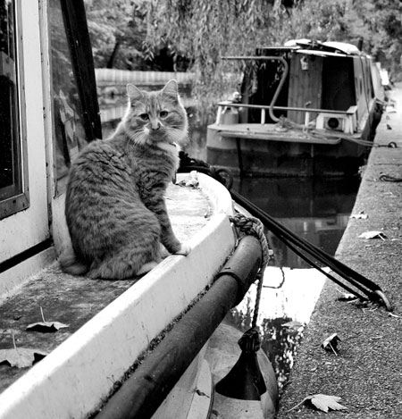 Blink Click's Assignment: Blink Click's October Camera Club assignment