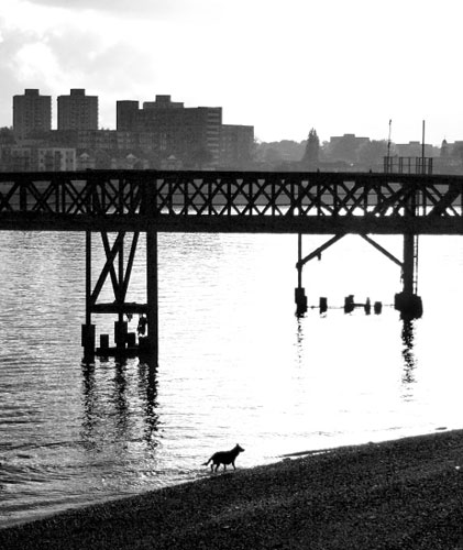 Blink Click's Assignment: Blink Click's October Camera Club assignment