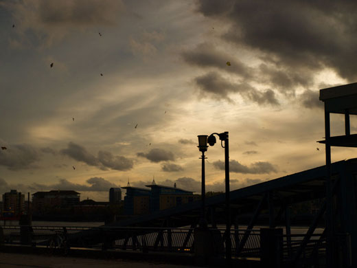 Jeannie Jay's assignment: Jeannie Jay's October Camera Club assignment