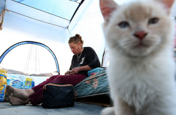 Homelessness: Renee Hadley rolls a cigarette in her tent in Sacramento, California