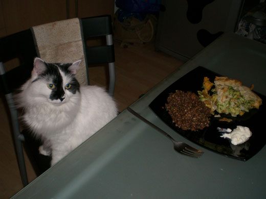 WoM filo pie kitchen clickalong