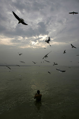 24 hours in pictures: Allahabad,India: A Hindu offers prayers as birds hover over the Ganges