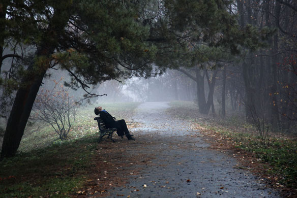 24 hours in pictures: botanical garden in Kiev, Ukraine