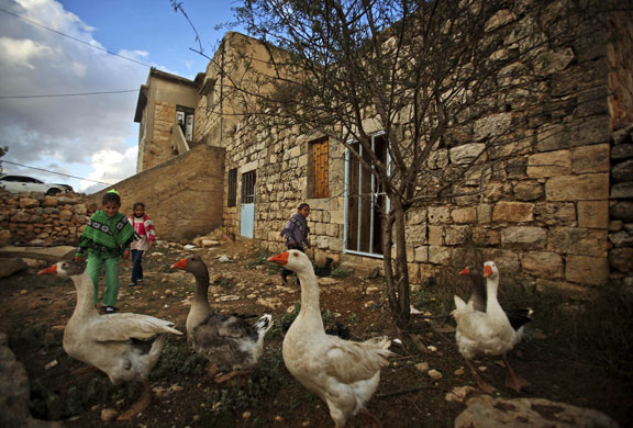 24 Hours in Pix: Palestinian girls chase a group of birds while playing in the West Bank