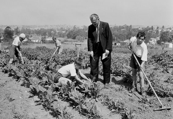 Forgotten Australians: 1953: British orphans working in a garden at Melrose House, Australia