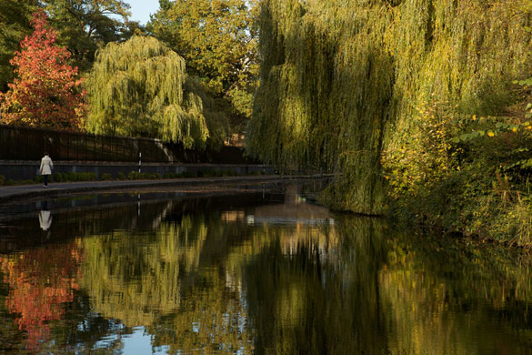 Laiste Dae's Rivers: Laiste Dae's Camera Club assignment