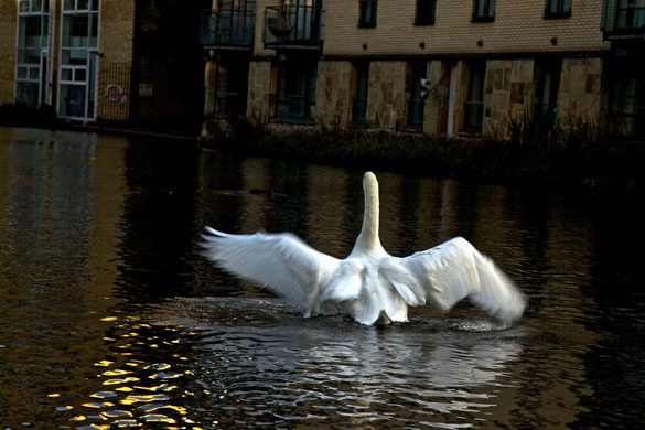 Laiste Dae's Rivers: Laiste Dae's Camera Club assignment