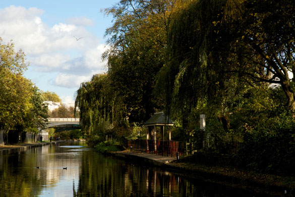 Laiste Dae's Rivers: Laiste Dae's Camera Club assignment