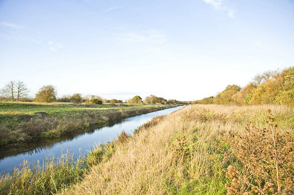 Olive Plants's Rivers: Olive Plants's Camera Club assignment