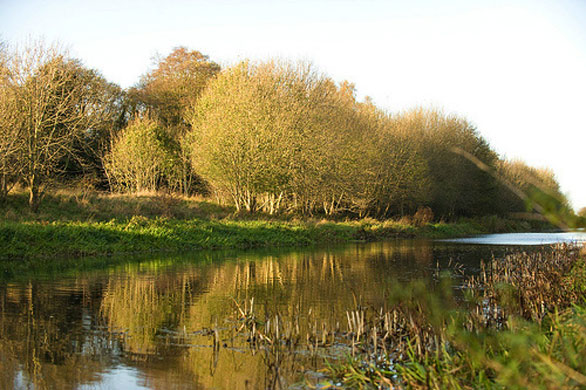 Olive Plants's Rivers: Olive Plants's Camera Club assignment