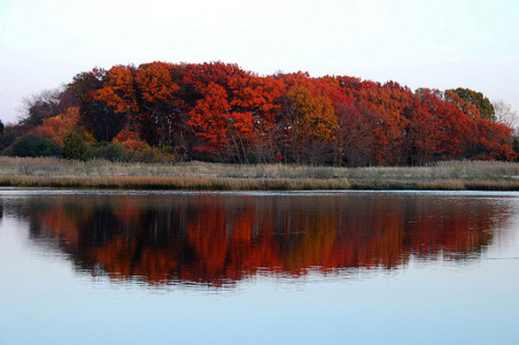 Amythyst Lake's Rivers: Amythyst Lake's Camera Club assignment