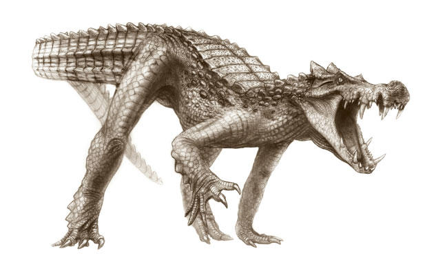 Crocodyliforms: Cretaceous Crocodyliforms from the Sahara 
