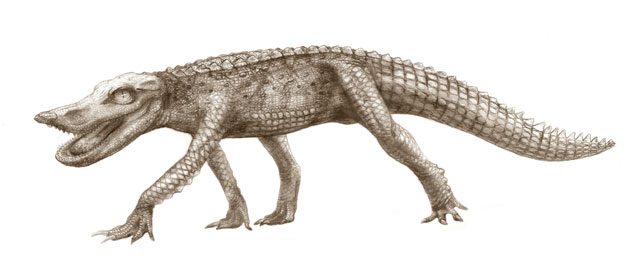 Crocodyliforms: Cretaceous Crocodyliforms from the Sahara 