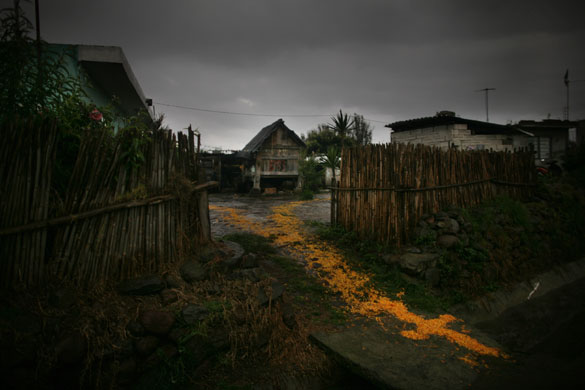 24 hours in pictures: Mexican day of the dead