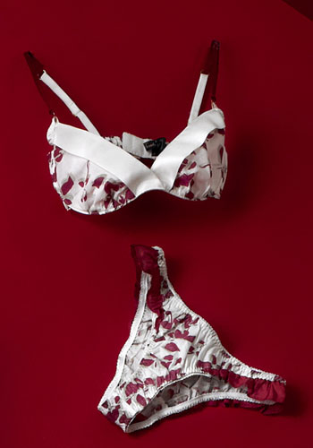 Green Xmas gifts list: Weekend magazine : Organic cotton soft bra and knickers