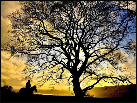 Peter Juerges: Peter Juerges portfolio review