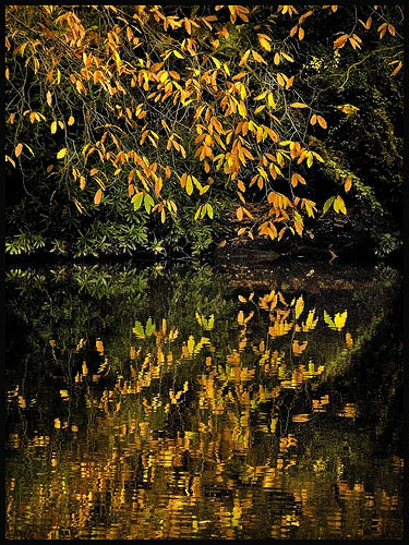 Peter Juerges: Peter Juerges portfolio review