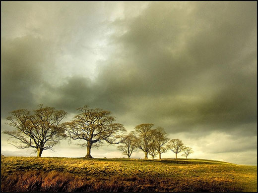 Peter Juerges: Peter Juerges portfolio review