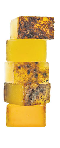 Beauty and grooming: Caurnie Soap