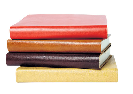 Homeware for under £30: Leather Pisa journals from TheOnlinePenCompany