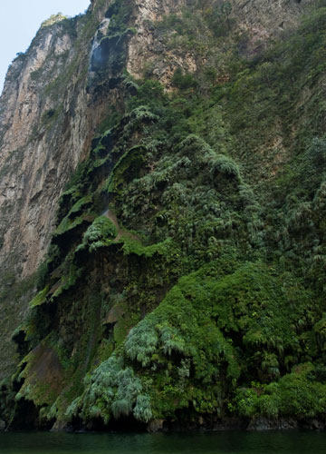 Week in Wildlife: Arbol de Navidad waterfall at the Sumidero Canyon, Chiapas state, Mexico