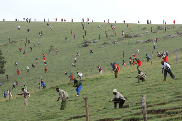 Dubai property crash : World Press Photo awards 2009