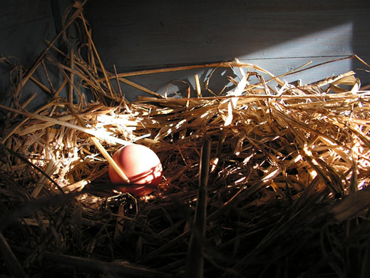 In Pictures: presentation: Sam Evans