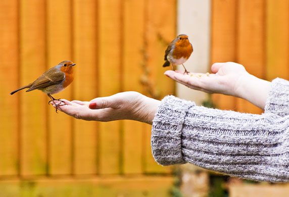 In Pictures: presentation: Howard Marsh