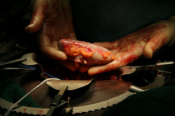 In Pictures: presentation: Jennie Jewitt-Harris