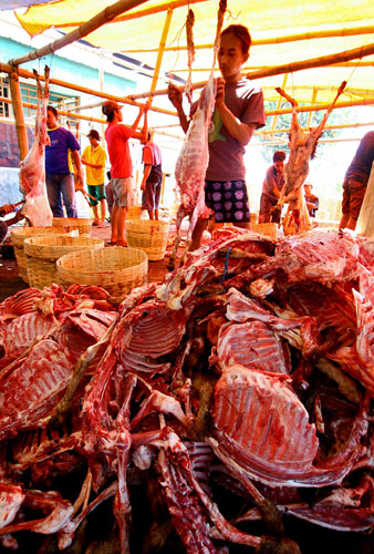 Eid al-Adha: Volunteers slaughter 8,000 sacrificial sheeps