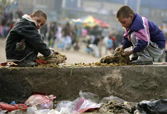 Eid al-Adha: Two boys clean the digestive track of a cow