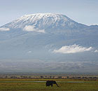 Snow Melts On Mount Kilimanjaro 