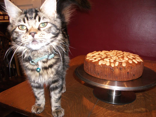 Dundee cake bakealong: Dundee cake bakealong