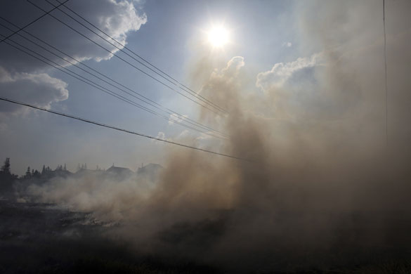24 hours: Qigang, China: Smoke rises as farmers burn stubble to clear a field