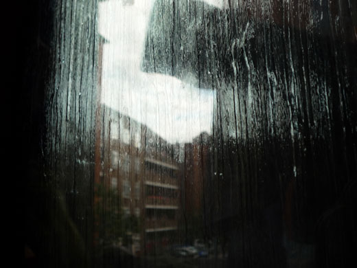 Kingsmead: Reflection by Sahib