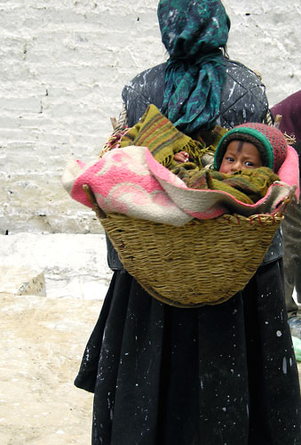 In Pictures: Comfort: Caroline Wooster