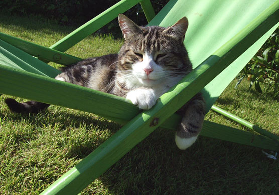 In Pictures: Comfort: Virginia Schroder