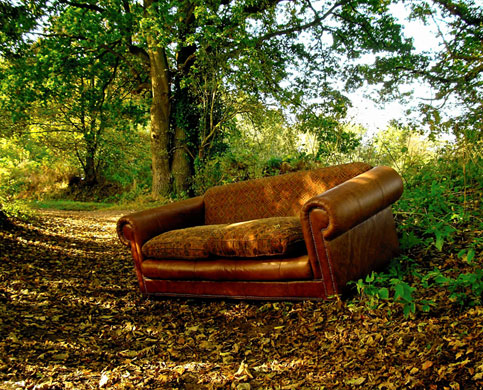 In Pictures: Comfort: Nick Deaves