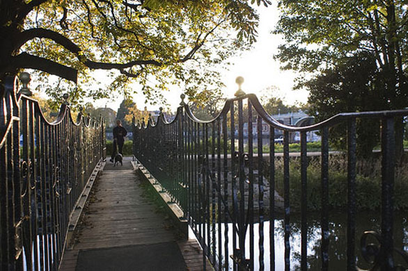 Gavin Edmond's assignment: Gavin Edmond's October River's assignment