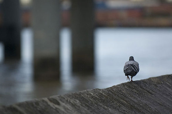 Gavin Edmond's assignment: Gavin Edmond's October River's assignment