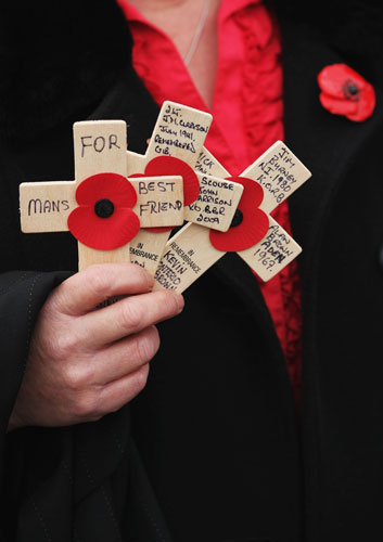 Remembrance Sunday: A woman holds crosses with poppies at the Remembrance Sunday service London