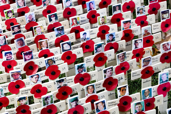 Eyewitness: A plot of crosses and poppies in the Westminster field of remembrance
