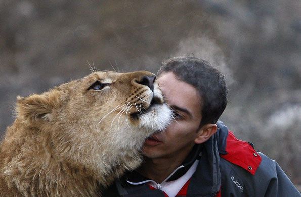 24 hours in pictures: Owner embracing pet lion in Romania
