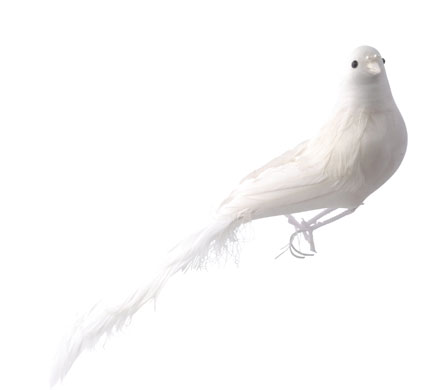 Christmas decorations: Heals bird