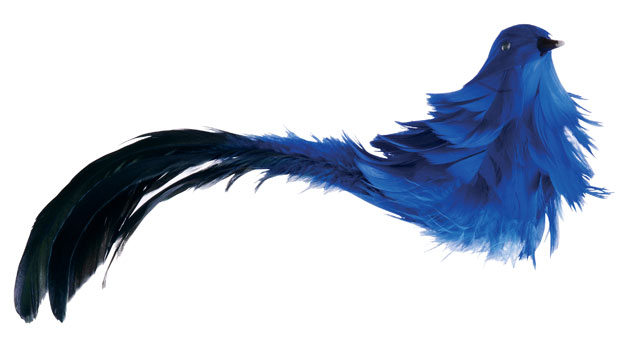 Christmas decorations: Habitat bird