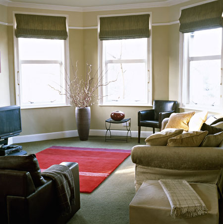 Expenses: A modern green sitting room with bay window, roman blinds, red rug, sofa,